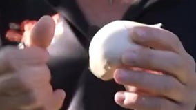 Your Garden: Planting garlic and onion bulbs