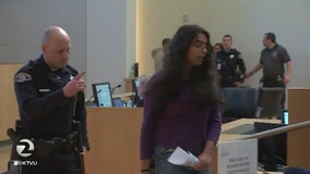 8 arrests at SJ City Hall over Google South Bay expansion meeting