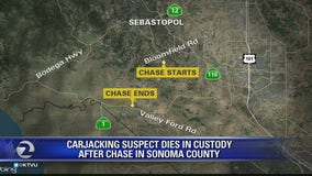 Carjacking suspect dies in custody