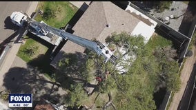 The conditions tree trimmers face | Drone Zone