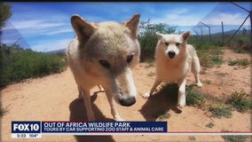 Out of Africa Wildlife Park's tours by car support zoo staff and animal care