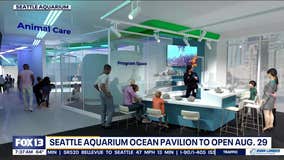 Seattle Aquarium Ocean Pavilion to open Aug. 29