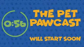 The Pet Pawcast - Adopting a senior pet