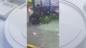 2 Seattle police officers caught on video beating suspect at bus stop