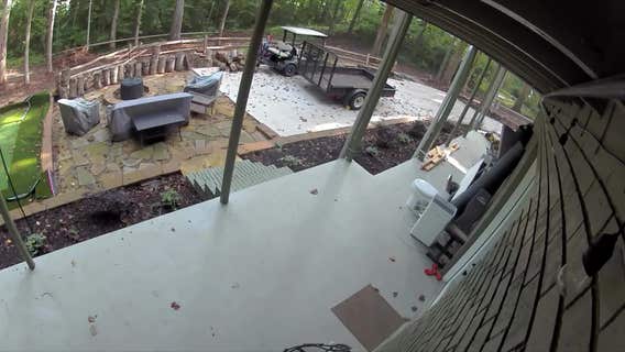 Burglary suspect attempts break-in while carrying small dog