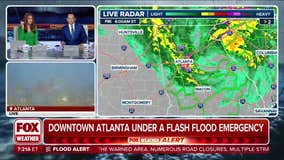 Watch: FOX Weather meteorologist rescues woman from rising floodwaters in Atlanta