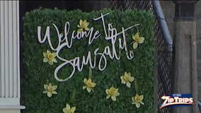 Zip Trips: Sausalito