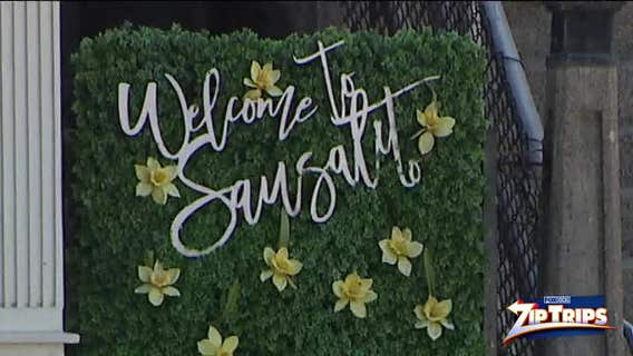 Zip Trips: Sausalito