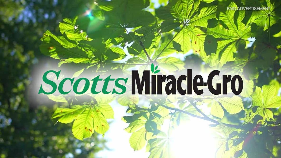 FOX 10 Spotlight Partner of the Day - ScottsMiracle-Gro