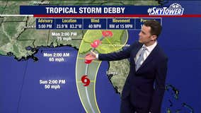 Tropical Storm Debby forms in Gulf of Mexico