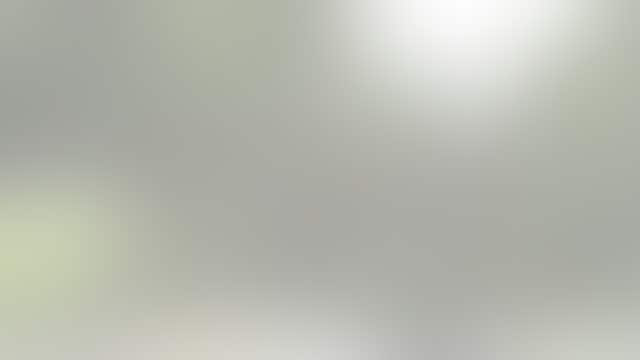 Video: Tree snaps, falls on top of car during Hurricane Milton