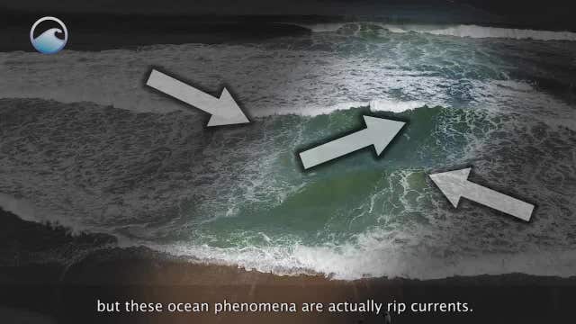 Couple caught in rip current drowns while on vacation in Florida with six children: Officials