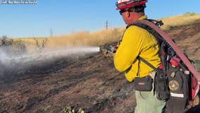 Colorado brush fire caused by electrocuted birds falling to the ground