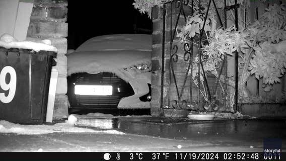 Video: Playful fox jumps around on slippery, snow-covered car