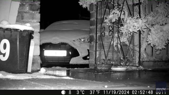 Video: Playful fox jumps around on slippery, snow-covered car