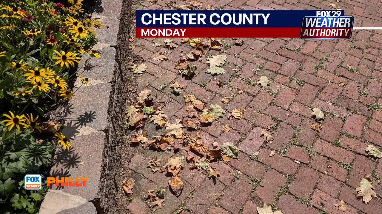 Ryan Reed, Pa. Forest Service Tracking Fall Color FOX 29 Philadelphia