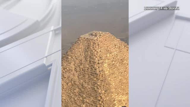 Watch: Paraglider spots dog on top of Great Pyramid of Giza in Egypt