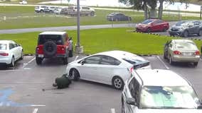 Watch: Florida 'manic woman' hits deputy with car outside sheriff’s office