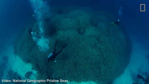 NOAA mission finds unexpected discovery at site of sunken USS Yorktown