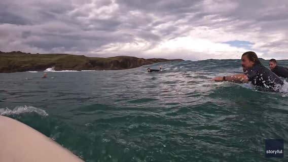 50-foot waves forecast to slam Hawaii as 'The Eddie' surfing competition braces for 'biggest swells ever'