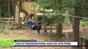 Ziplining at Go Ape in Freedom Park