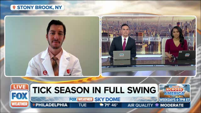 Tick bite blamed for Kansas man's near-fatal allergic reaction eating BBQ sandwich