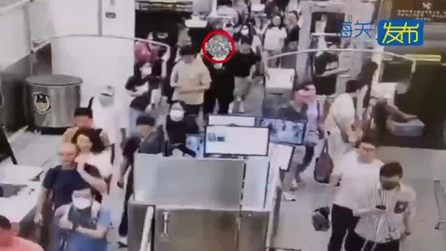 See it: Snake barfs up two other snakes, including rattlesnake, after found in Georgia