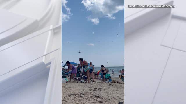 Watch: Swarm of dragonflies invades Rhode Island beach, sends visitors fleeing