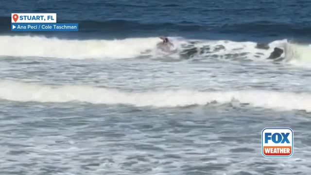 Florida surfer survives near-fatal shark attack at same beach, 12 years after first bite