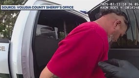 Florida man arrested after alleged road rage incident ends at police station