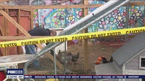 Kensington fire leaves community garden damaged