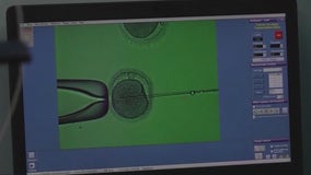 Bill would provide access to IVF treatments