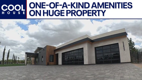 Perfect home for dog lovers l Cool House