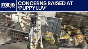 AZ Humane Society responds to complaints on dog rescue