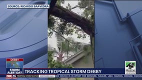 'I heard this huge boom': Tree hits man's house amid Debby