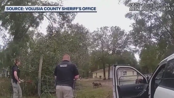 Owner of dog that killed Florida child will face misdemeanor charge, officials say