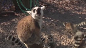 Charley's World | Safari Wilderness Ranch