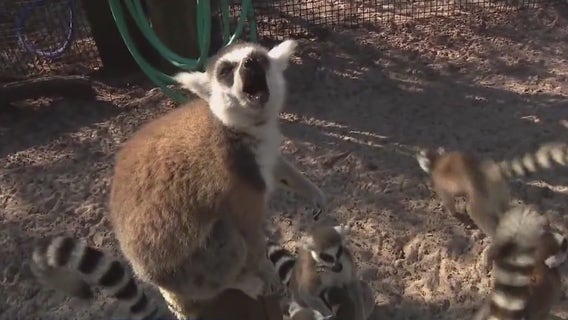 Charley's World | Safari Wilderness Ranch