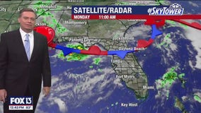 Tampa Weather | Rain chances low this week