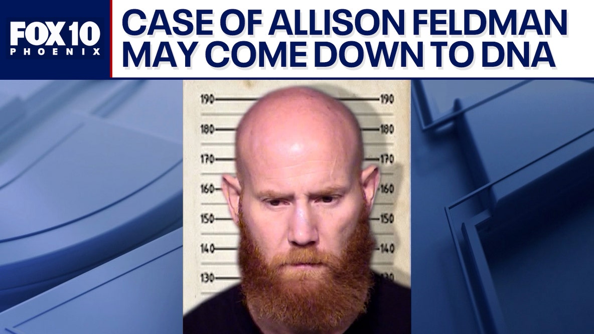 DNA at center of Allison Feldman court case