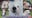 Bucks County kennel temporarily closes after death of 2 dogs
