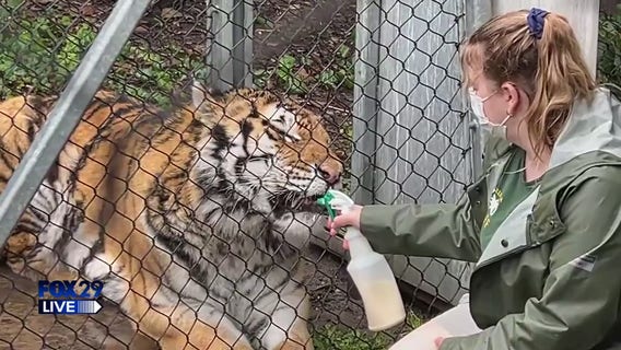 FOX29 LIVE: Bill goes to the Zoo