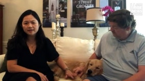 'It felt like a miracle': Family of lost golden retriever Rocky shares impossible reunion story