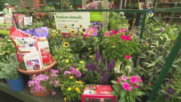Tips for preparing your garden for summer