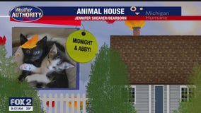 Welcome Midnight, Abby, Scruff, Lainey