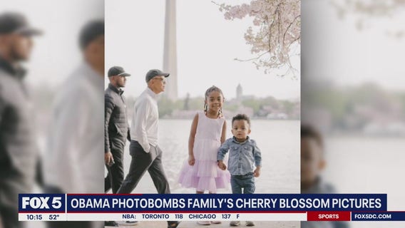 Former President Obama photobombs family taking cherry blossom pics at Tidal Basin