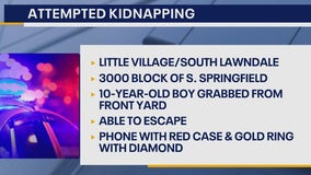 Alert issued after kidnapper abducts child in Little Village