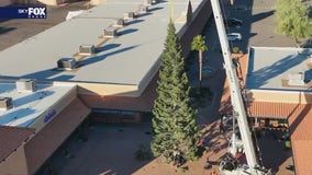 AZ's tallest Christmas tree installed