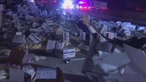 Spilled french fry boxes closes 5 Freeway