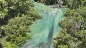 A birds-eye view of Lithia Spring Park